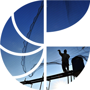 net throw